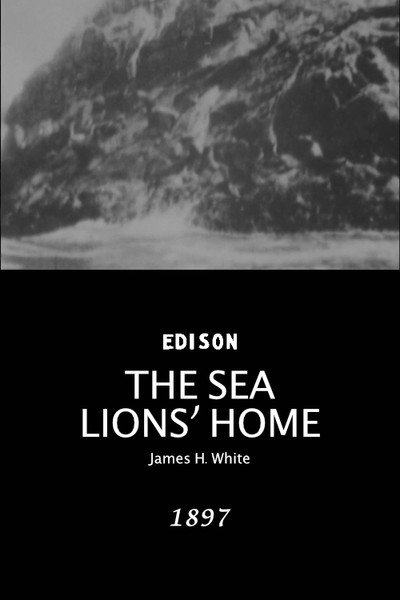 Póster de The Sea Lions' Home