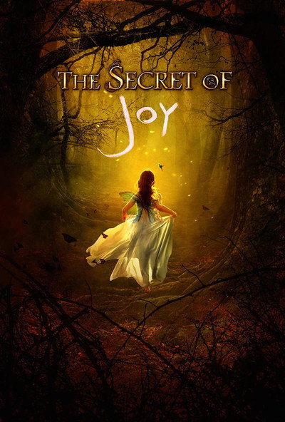 Póster de The Secret of Joy