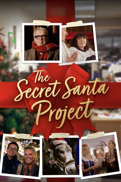 Póster de The Secret Santa Project