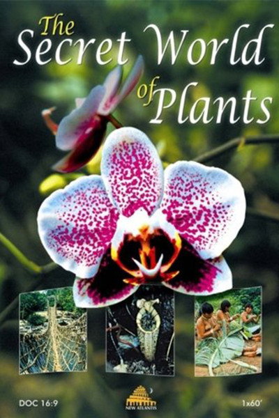 Póster de The Secret World of Plants