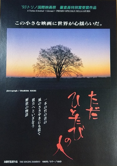 Póster de The Singing Bamboo