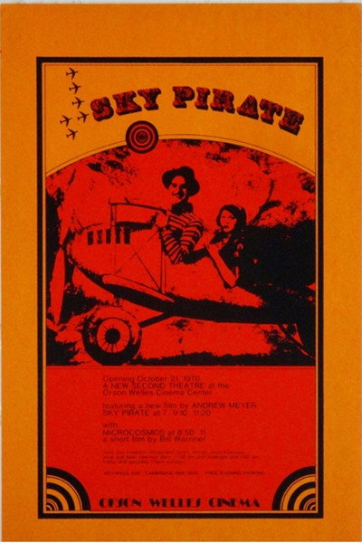 Póster de The Sky Pirate