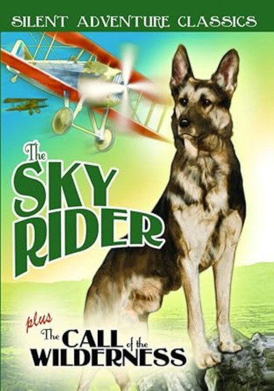 Póster de The Sky Rider