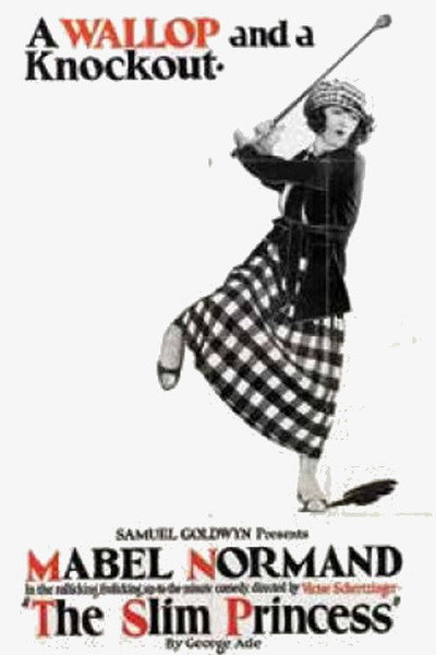 Póster de The Slim Princess