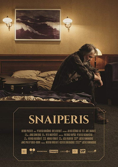 Póster de The Sniper