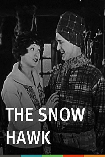 Póster de The Snow Hawk