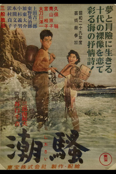 Póster de The Sound of Waves