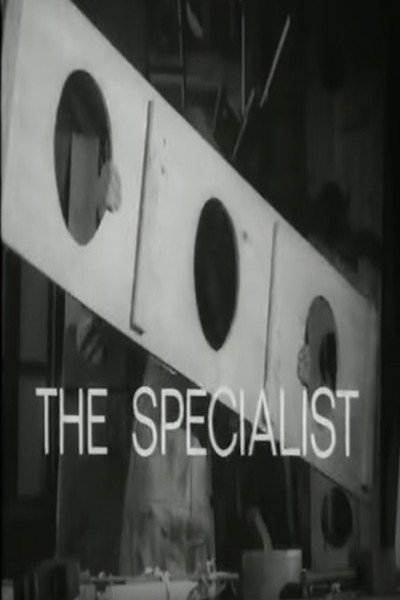 Póster de The Specialist