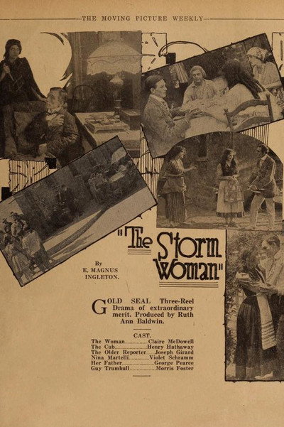 Póster de The Storm Woman