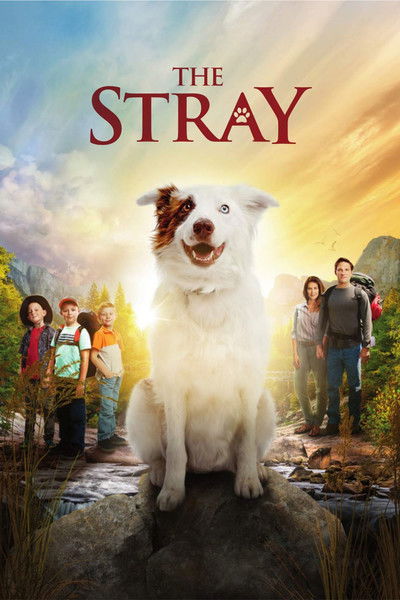 Póster de The Stray