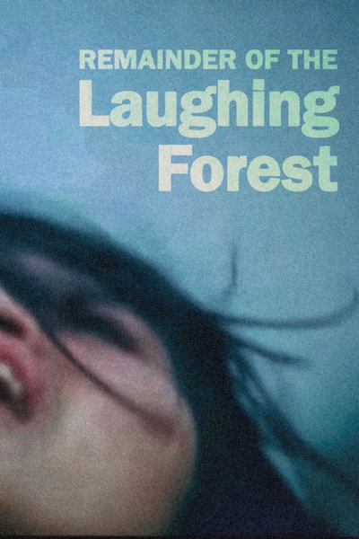 Póster de The Survivor of the Laughing Forest