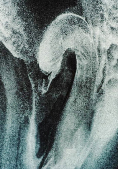 Póster de The Swan
