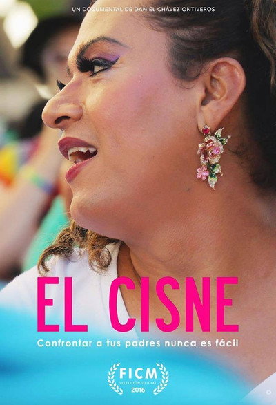 Póster de The Swan