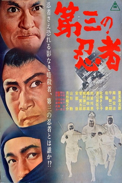 Póster de The Third Ninja