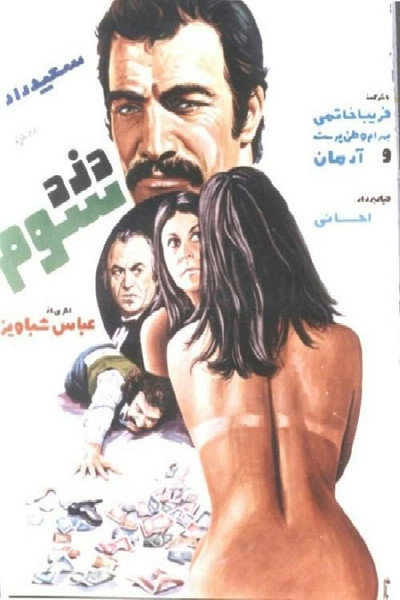 Póster de The Third Thief