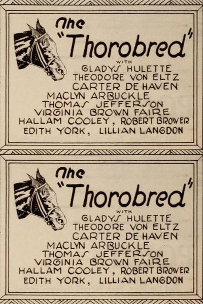 Póster de The Thoroughbred