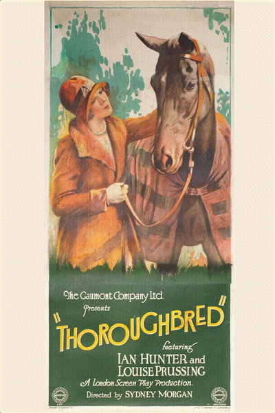 Póster de The Thoroughbred