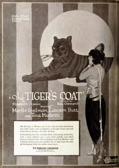 Póster de The Tiger's Coat