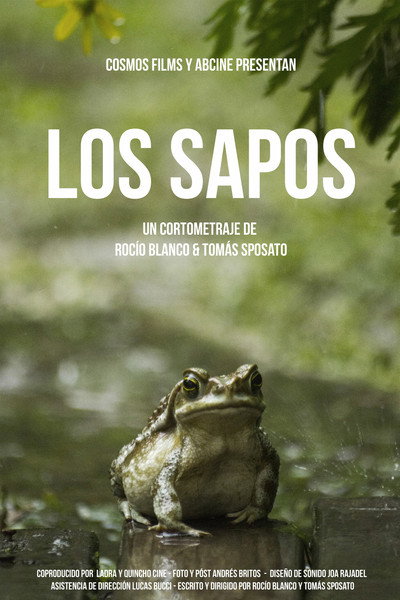 Póster de The Toads