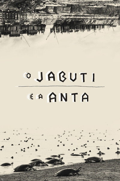 Póster de The Tortoise and the Tapir