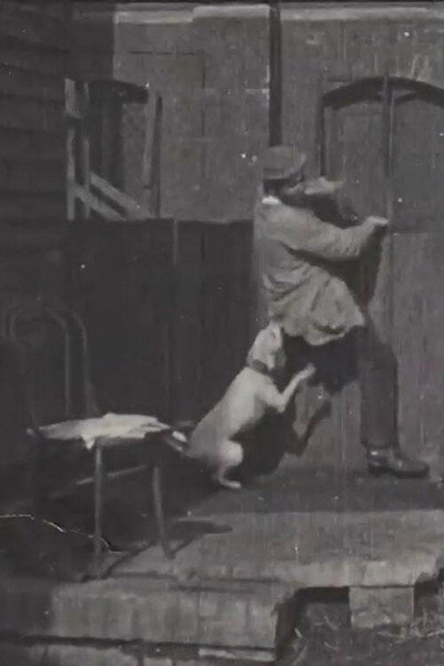 Póster de The Tramp and the Dog