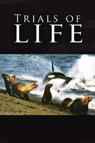 Póster de The Trials of Life