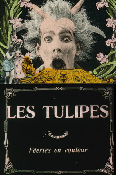 Póster de The Tulips