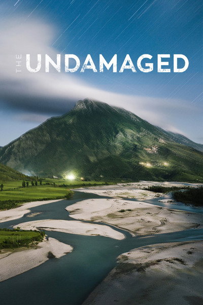 Póster de The Undamaged