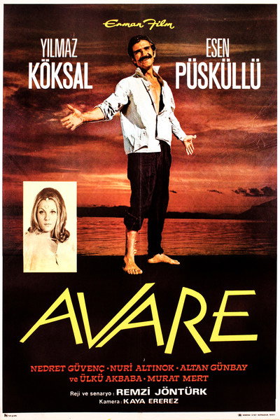 Póster de The Vagabond
