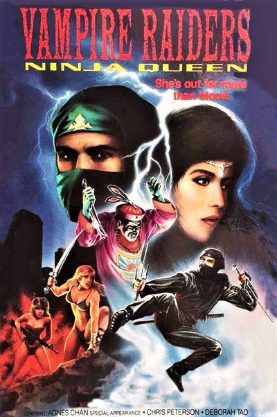 Póster de The Vampire Raiders
