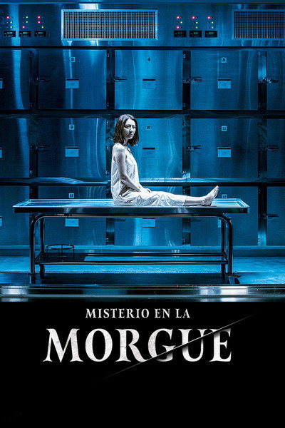 Póster de The Vanished