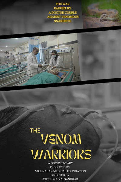 Póster de The Venom Warriors