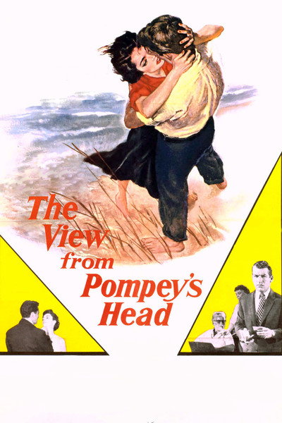 Póster de The view from Pompey's Head