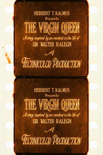 Póster de The Virgin Queen