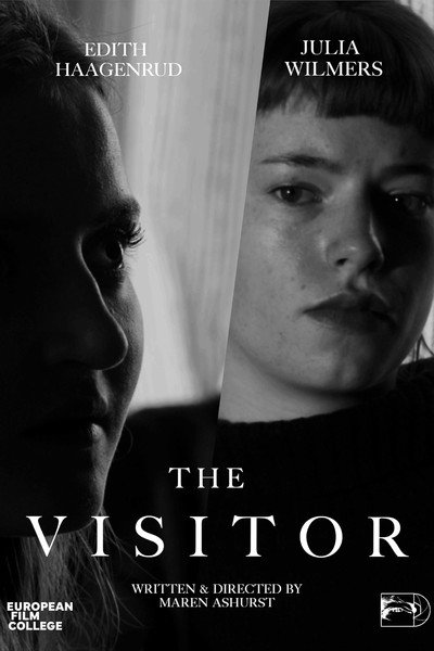 Póster de The Visitor