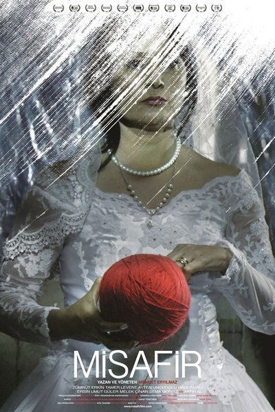 Póster de The Visitor