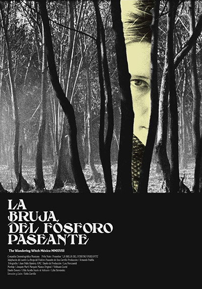 Póster de The Wandering Witch