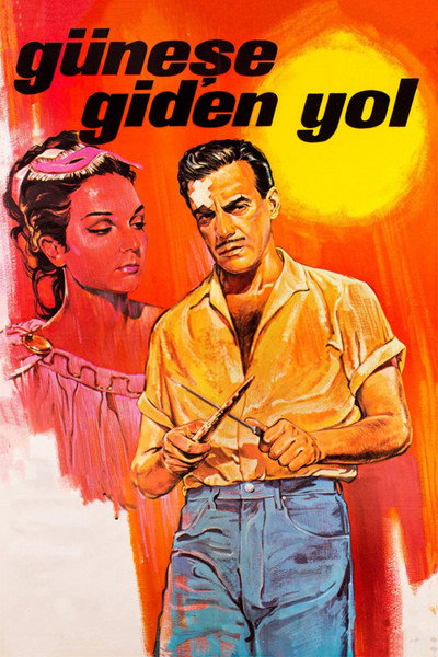 Póster de The Way to the Sun