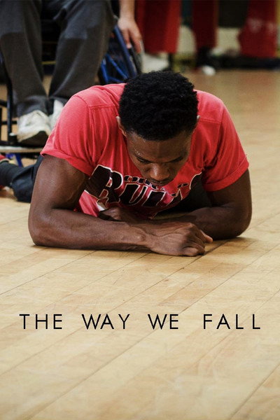 Póster de The Way We Fall