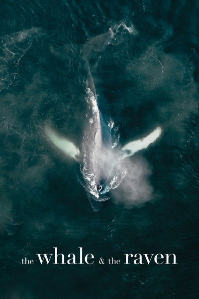Póster de The Whale and the Raven