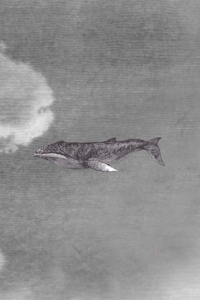 Póster de The Whale Who Wasn't