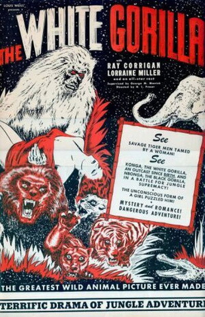 Póster de The White Gorilla