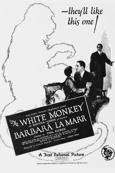 Póster de The White Monkey