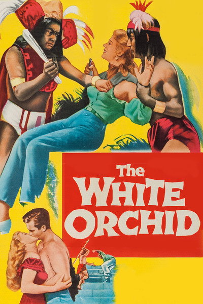 Póster de The White Orchid