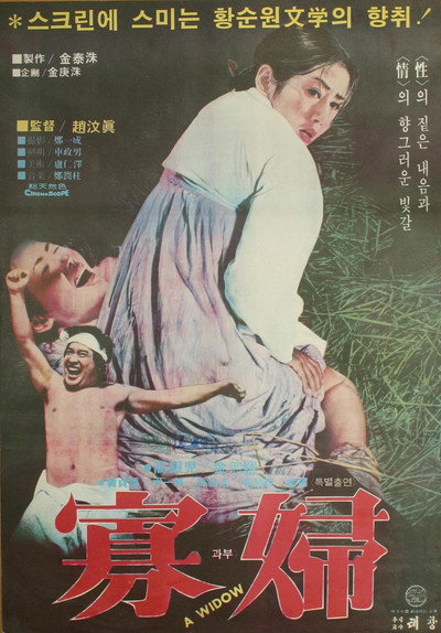 Póster de The Widow