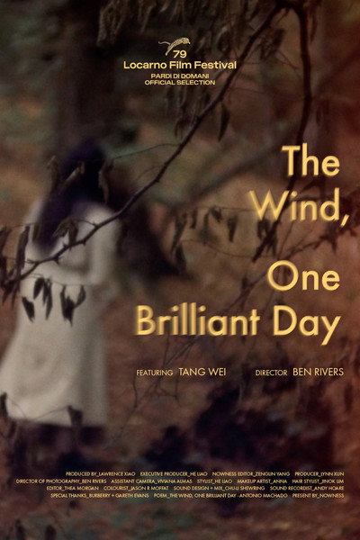 Póster de The Wind, One Brilliant Day
