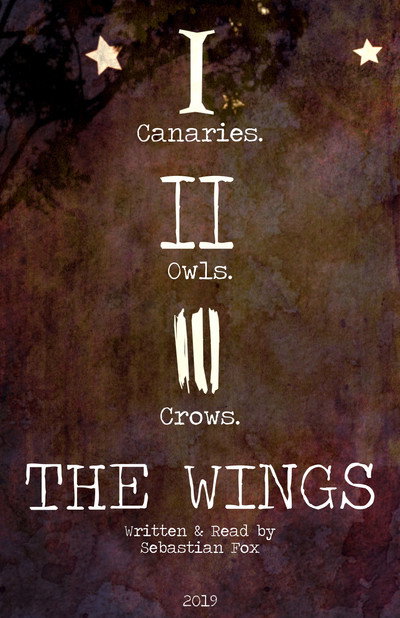 Póster de The Wings
