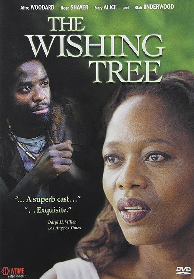 Póster de The Wishing Tree