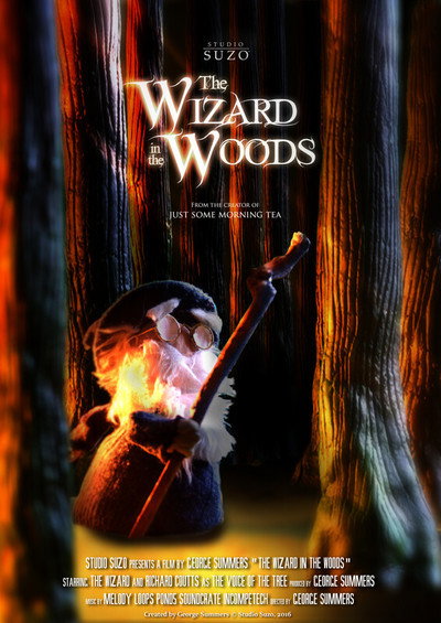 Póster de The Wizard in the Woods