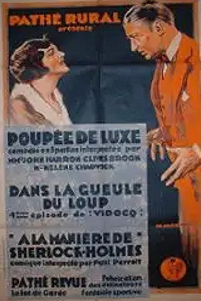 Póster de The Woman Hater